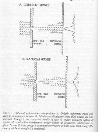 quantum reality-14.jpg